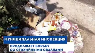 Муниципальная инспекция продолжает борьбу со стихийными свалками