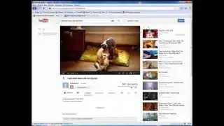 Как встроить видео с ютуба на форумы borda