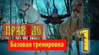 Тренажёр ПравИло Базовая тренировка Часть 1