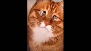 Странно это…