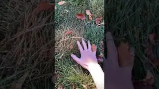 Touching Grass The Sequel