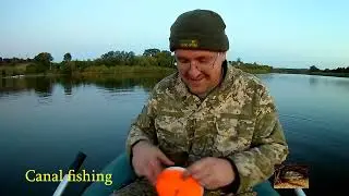 Crucian carp on mugs in autumn