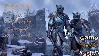 The Elder scrolls: online. С нуля до Совершенства, Серия Стримов. No comments Stream 1