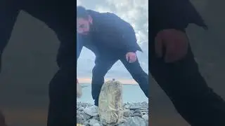 Gravitation in balance