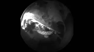 Livestream Timeline 2024 360° Kamera