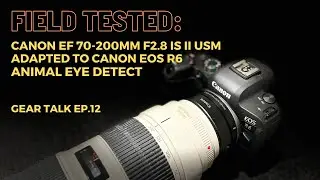 Field-Tested Animal Eye Detect:  Canon EF 70-200mm f2.8 USM II on Canon EOS R6  (Sample images)