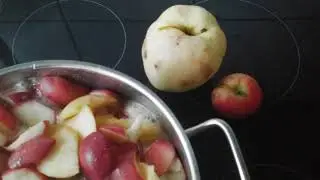 варенье из яблок без инструкций