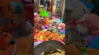 28 июля 2024г. #kids #toys #игрушки #хватайка #clawmachine