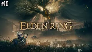 10. Изучаем DLC 👹 Ламповый Elden Ring Shadow of the Erdtree