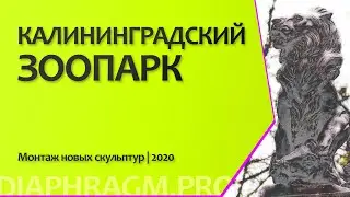 Монтаж новых скульптур на входной группе Калининградского зоопарка. Апрель 2020 года.