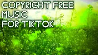 Famous Poetry Background Music | No Copyright Music