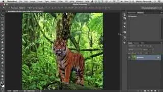 10 Things You Should Know About the Crop Tool