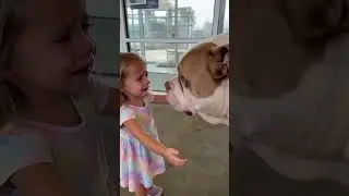 Little Girl Reunites With Her Bulldog on Adoption Day