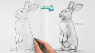 Cómo Dibujar un Conejo - Paso a Paso