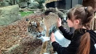 ZOO Belin | Tierpark Berlin | 02.04.2022