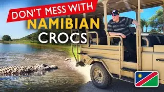 This Namibia Safari WANTED TO FEED ME TO THE... 🇳🇦