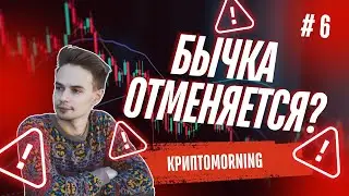 КриптоMORNING. БЫЧКА ОТМЕНЯЕТСЯ? AIRDROP SCROLL, CARV SOON?