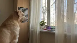 ПОДАРОК МУЖУ/ МАМА МЕШАЕТ СНИМАТЬ ВИДЕО/ ОБЗОР ПОКУПОК/ ДОМАШНИЙ ВЛОГ