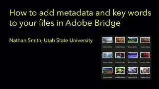 Adding Key Words and Metadata in Adobe Bridge CC