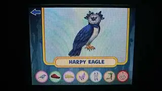 LeapFrog - Letter Factory Adventures The Rainforest Part 3 - Mission 3