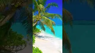 Funfacts about Maldives 2/3 #shorts #maldives #funfacts #facts #factsabout #funfactshorts #travel