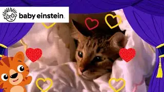 All About Cats | New Classics | Baby Einstein | Toddlers Learning Show | Kids Cartoons