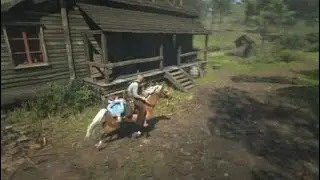 Red Dead Redemption 2_20250306182623