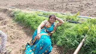 I am Enjoying my Life at Farm!!!💚 🤯😓 राधा = बैल!!???😵😱😬🤐