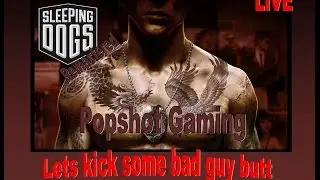 Sleeping DOGS►