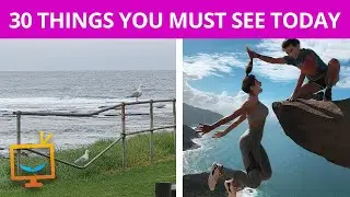 32 things you must see today!