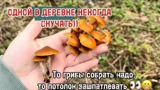 I LIVE, I LOVE, I CREATE. What else do you need? 🥰