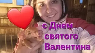 Пополнение в хозяйстве. Кто мне подарил подарок на 14 февраля ? 😀😘