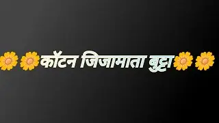 Jijamata Silk saree #paithani #viralvideo
