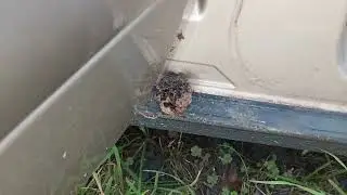 If Your Has Been Sitting a While Beware of This Danger.....