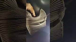 Ниссан жук меням воздушный и салонный фильтра