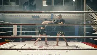 Boxing Training Reference- Animation Reference Videos