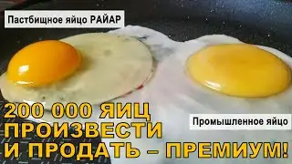 200 000 яиц в год, произвести и продать по премиум цене