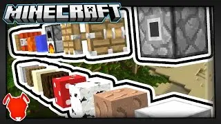 16 MINECRAFT BLOCKS that REQUIRE COMMANDS!