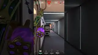 crosshair? what is that? #raze #valorant #duelist #ace #valorantclips #valorantc