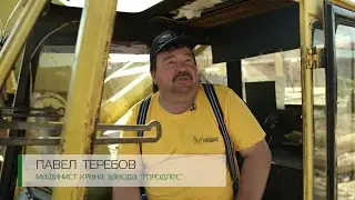 Срубы ручной работы. Городлес в лицах