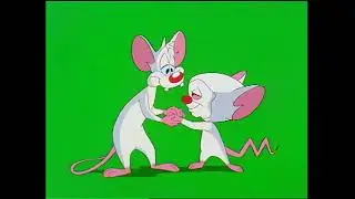 Kids' WB Green Screen Assets - Pinky and the Brain