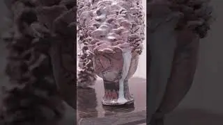 Mental mysteries? Sun Young Park makes art to explore them | Art Close-Up 