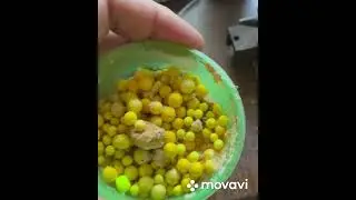 Кормак Самолет ловит Леща, Карася, Карпа и Толстолоба!!’