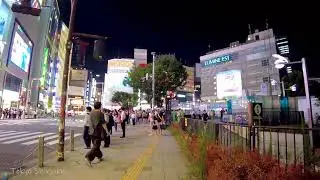 🔴Tokyo Walk Arrange 24/7🐶Akihabara, kabukicho, Shibuya , etc.😊🚶‍♀️