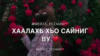 Хьаалахь хьо са бе хир вац💕♥️