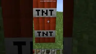 диномит 