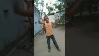 P.D.L.S