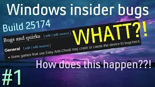 Reading the funniest Windows insider bugs #1