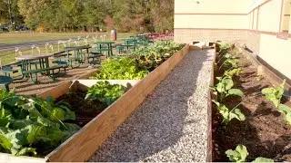 Education Now - Poquoson High School Creates 'Giving Garden'