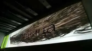 Выходные. Пятница